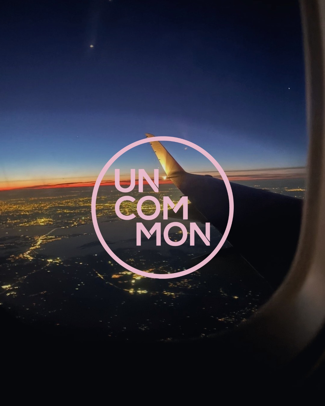 What Have Our Uncommon Residents Been Up To This Summer? Swi…